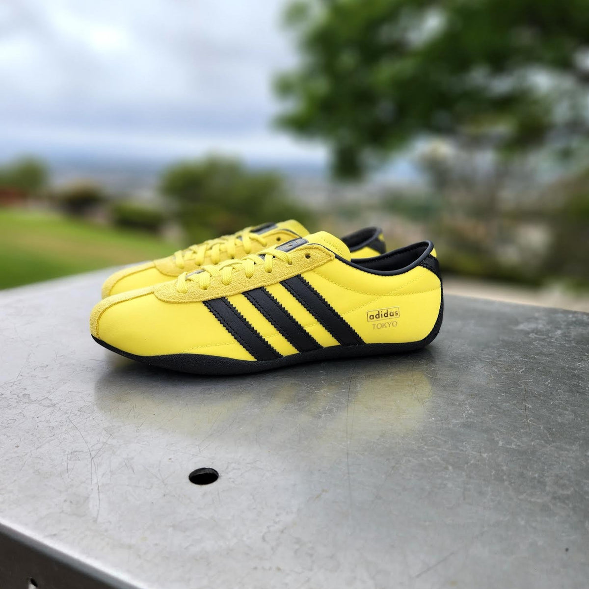 W Adidas Tokyo Shoes