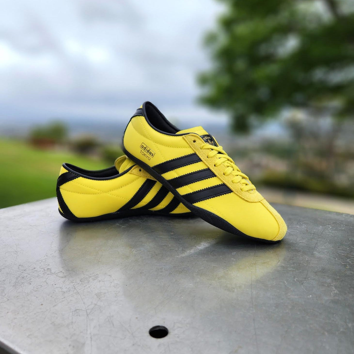 W Adidas Tokyo Shoes