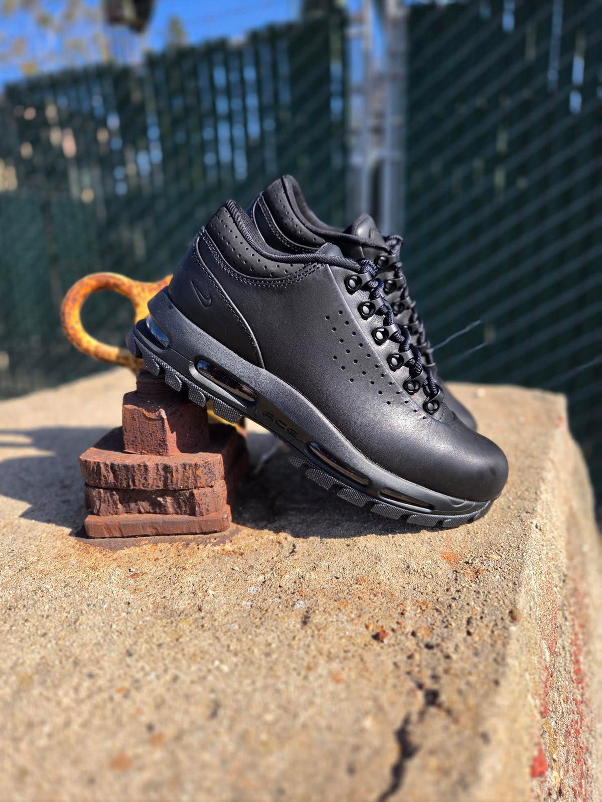 NIKE AIR MAX GOADOME LOW 'BLACK CAT'