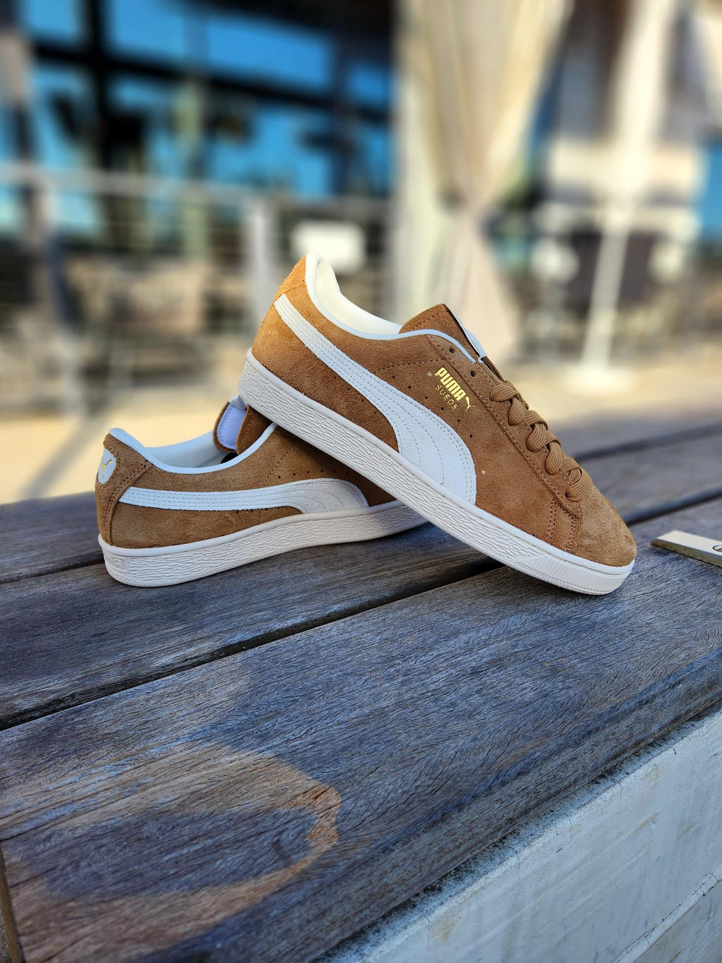 PUMA SUEDE CHARLES F. STEAD V