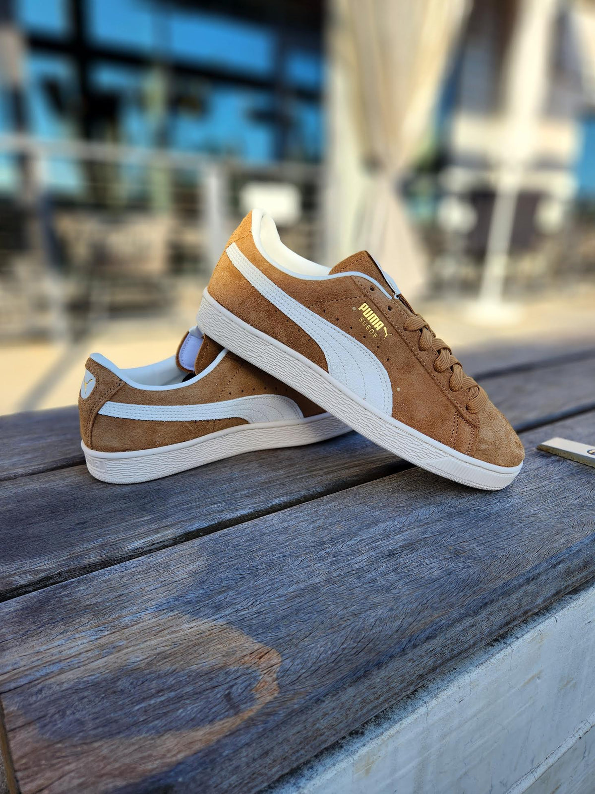 PUMA SUEDE CHARLES F. STEAD V