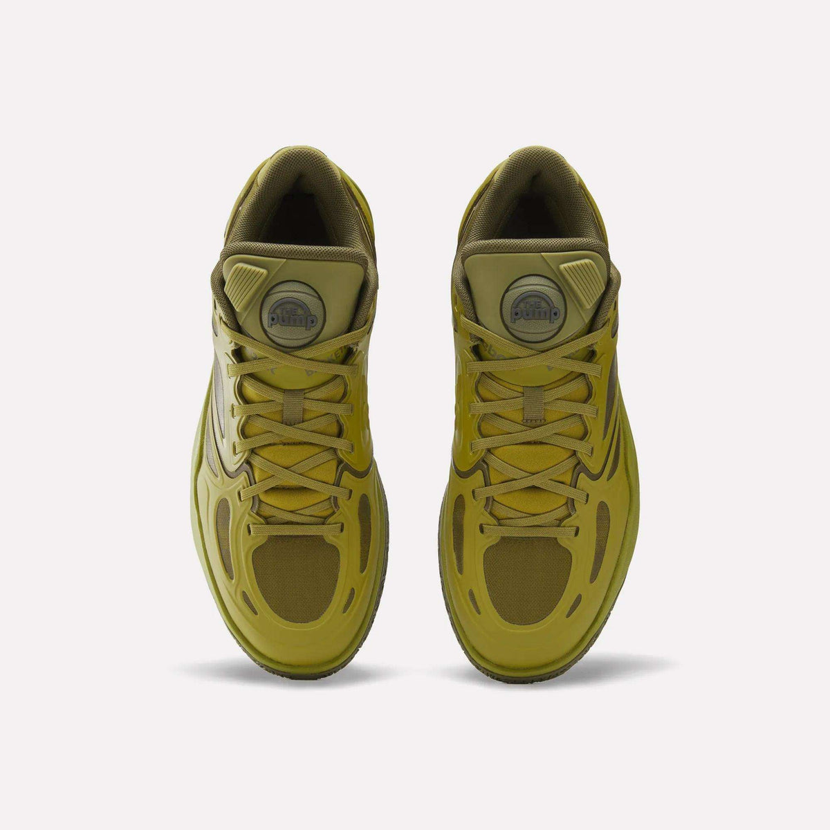 Engine A Pump Shoes