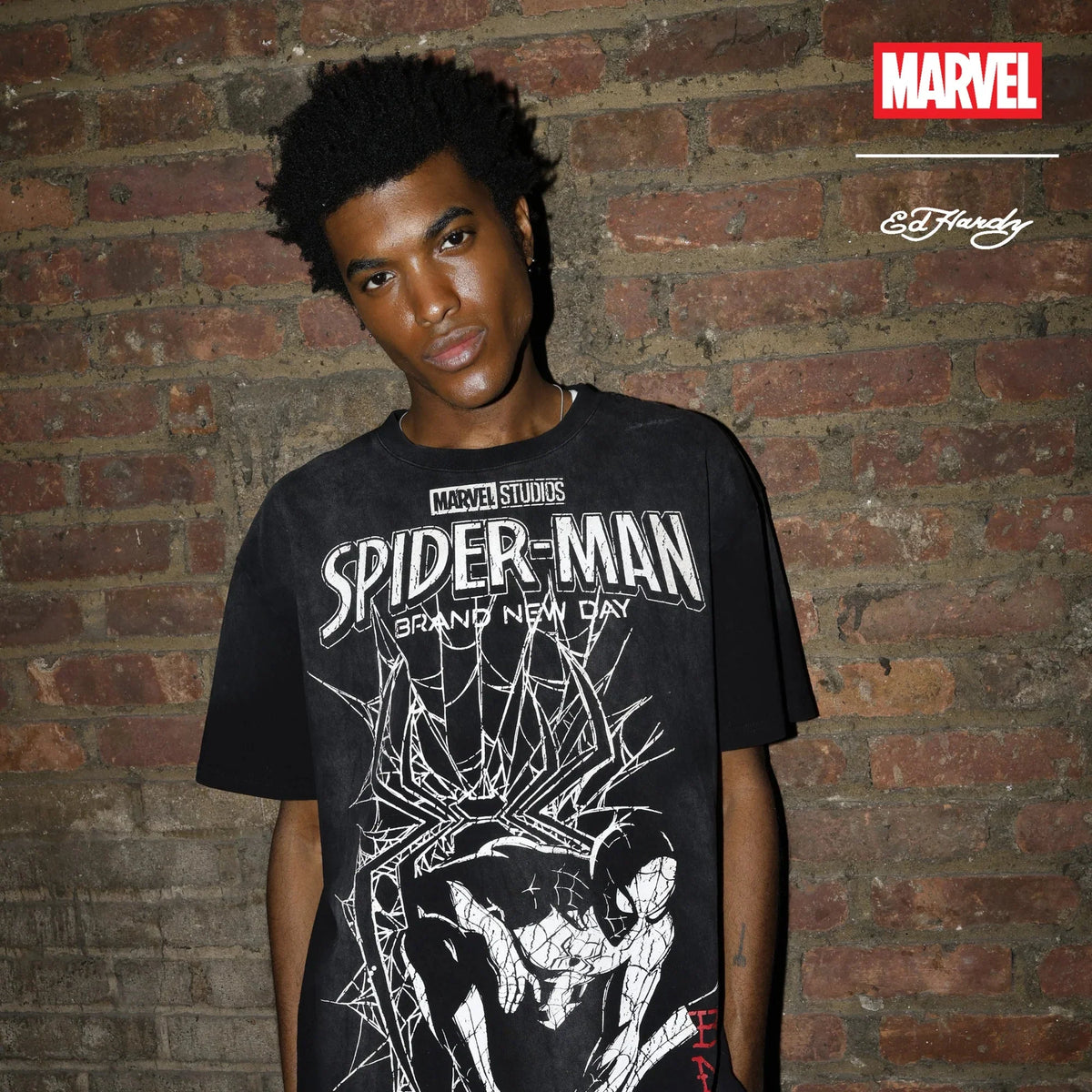 ED HARDY HEART WEB  WASHED BOXY TEE