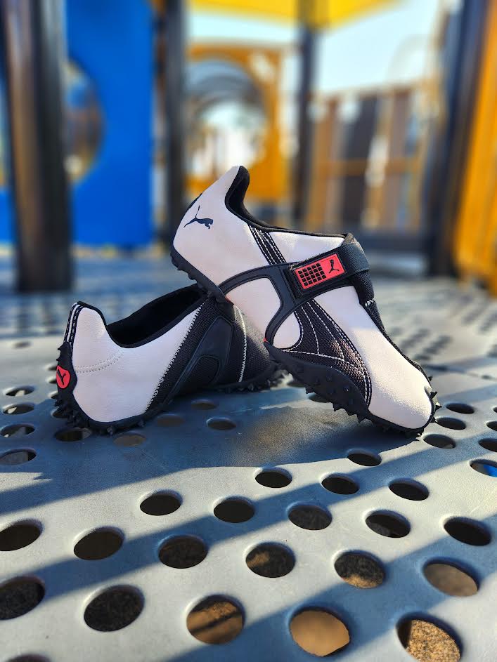PUMA RPT-2