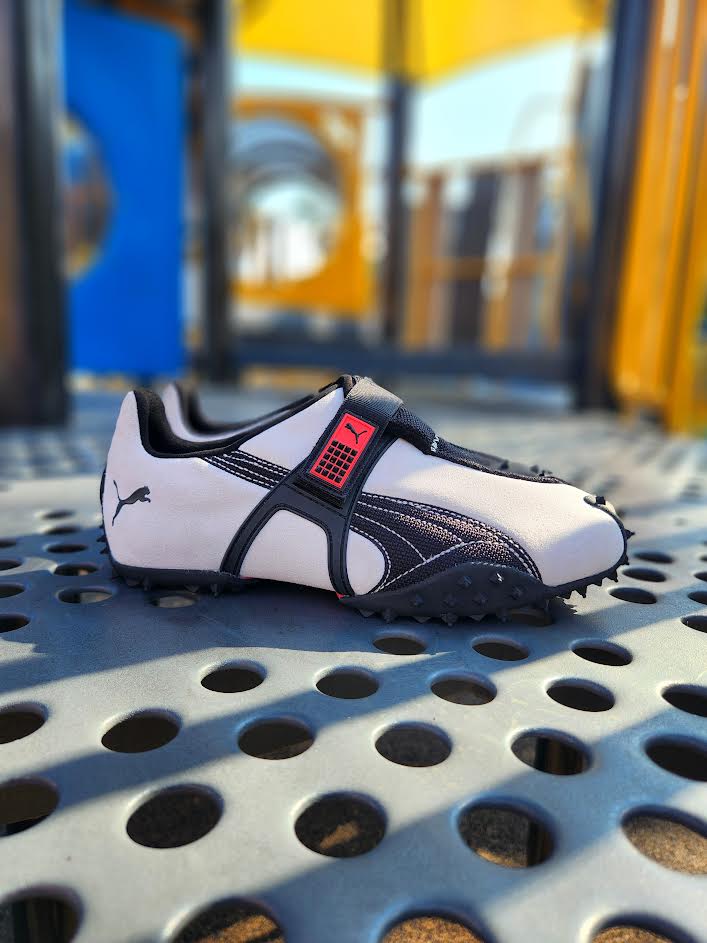 PUMA RPT-2