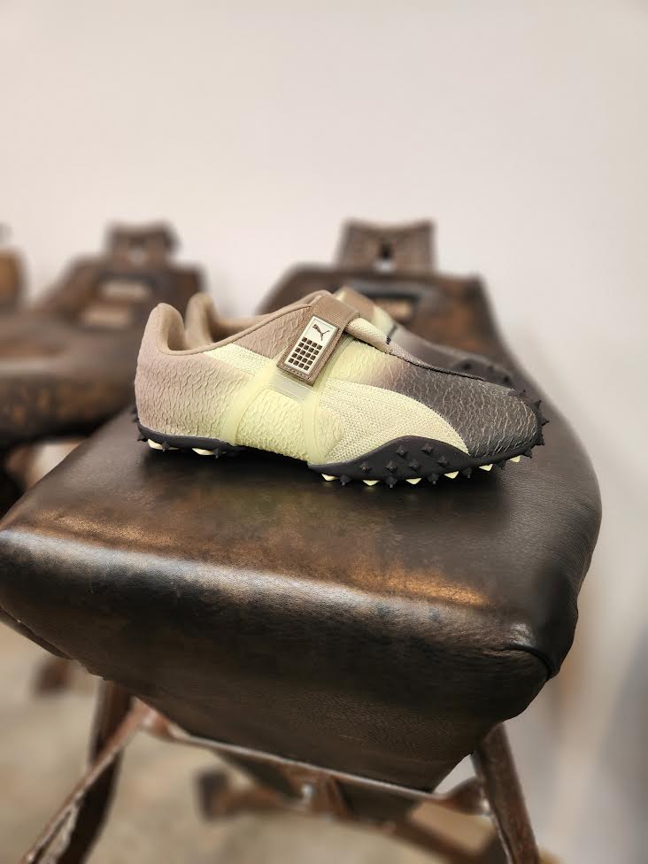 PUMA RPT-2 BIOLOGY EXPERIMENT