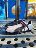 PUMA RPT-2