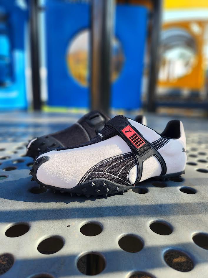PUMA RPT-2