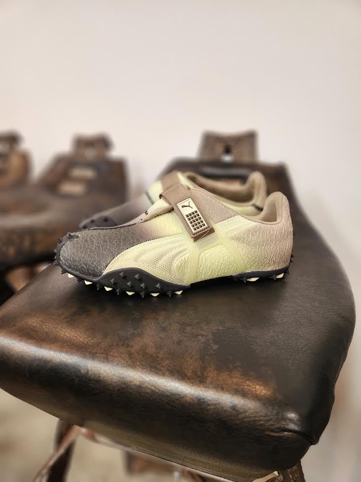 PUMA RPT-2 BIOLOGY EXPERIMENT