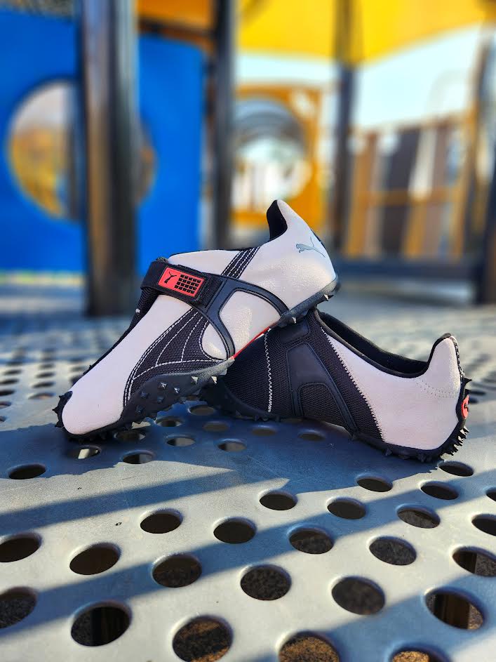 PUMA RPT-2