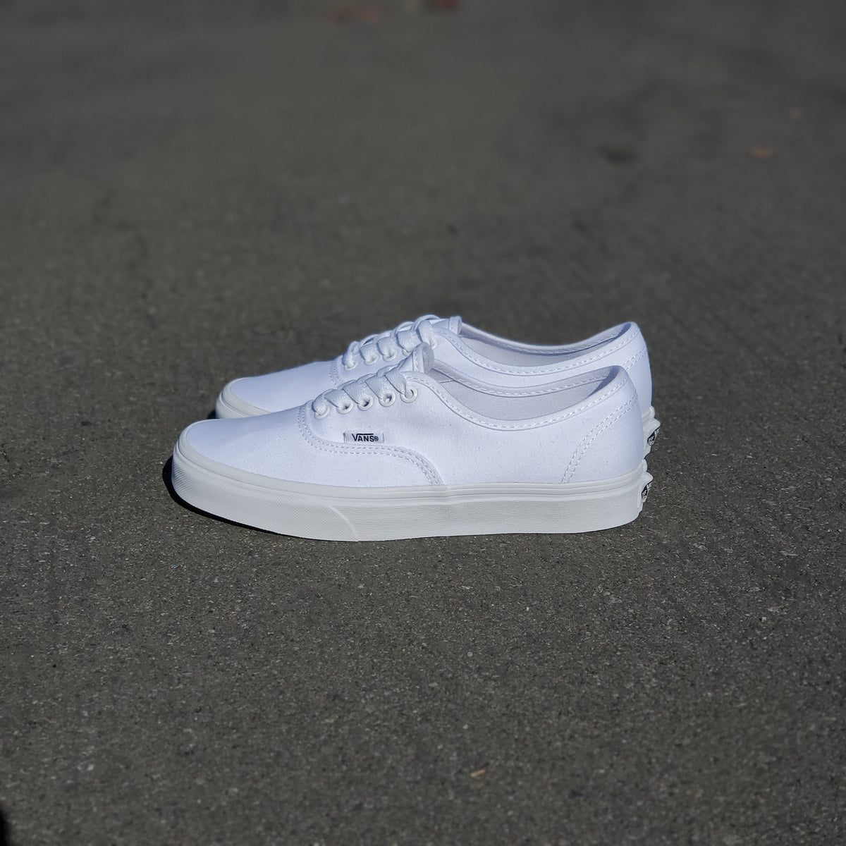 Vans Authentic True White
