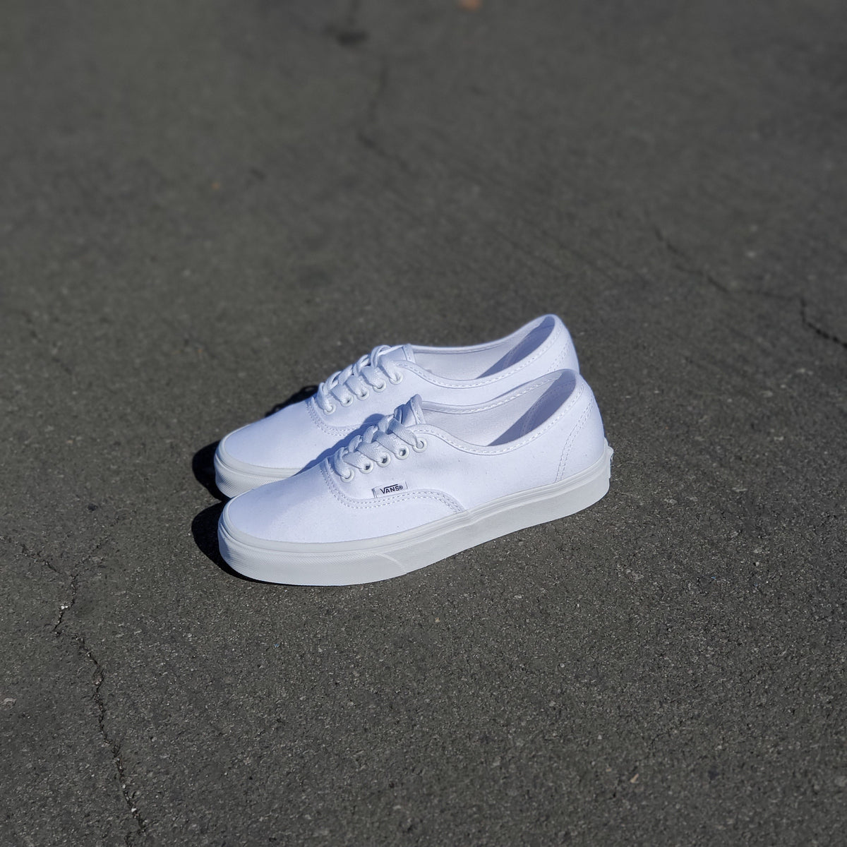 Vans Authentic True White