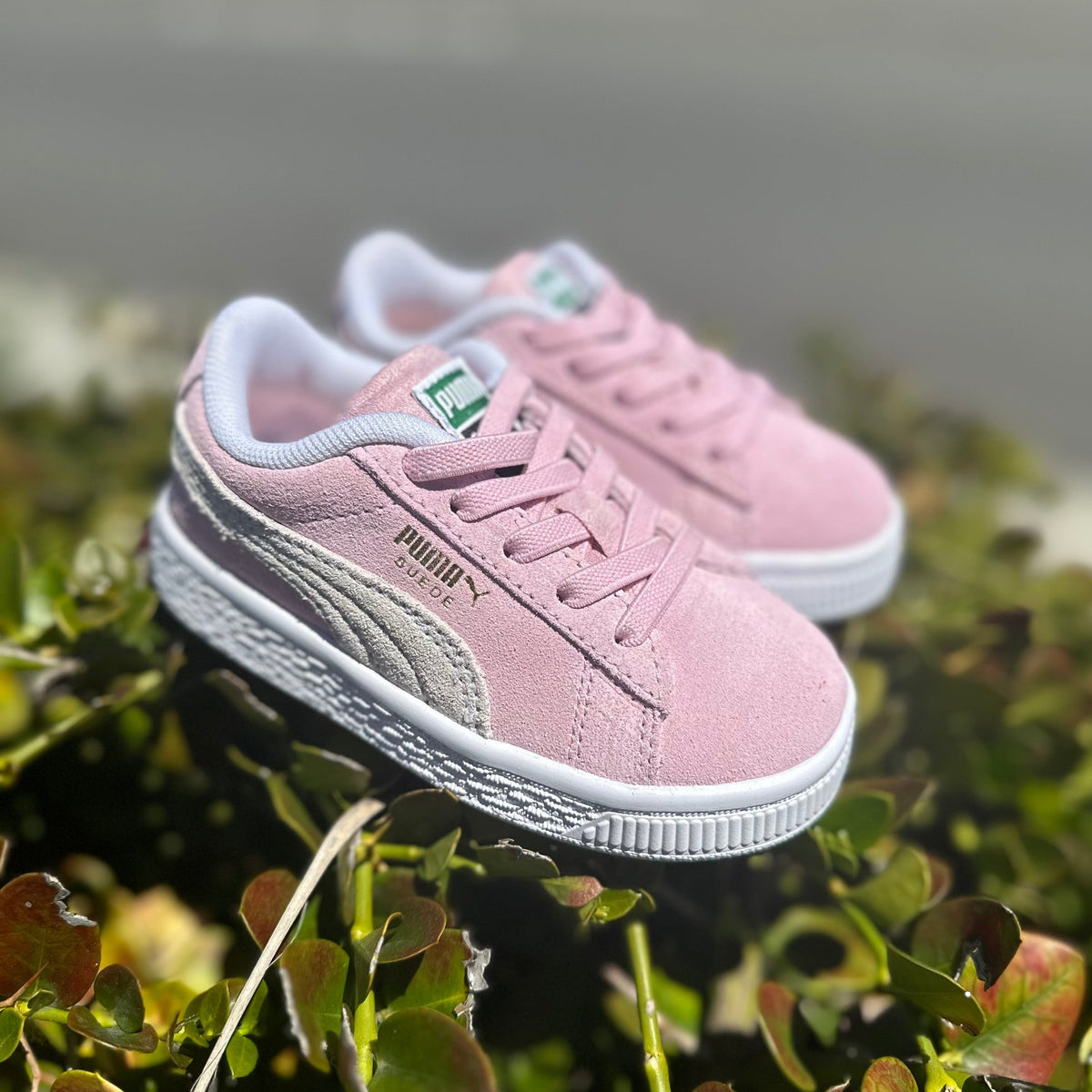 Puma Suede Classic XXI Toddler Shoes