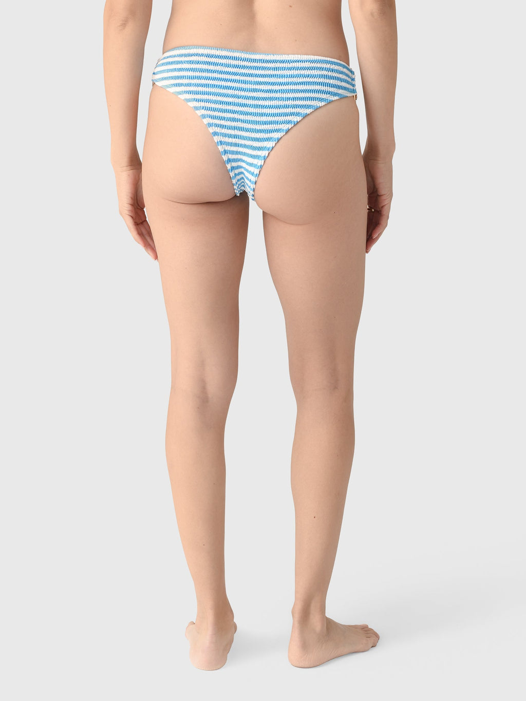 Cleonie Women's Rainbow Brief Bikini Bottom
