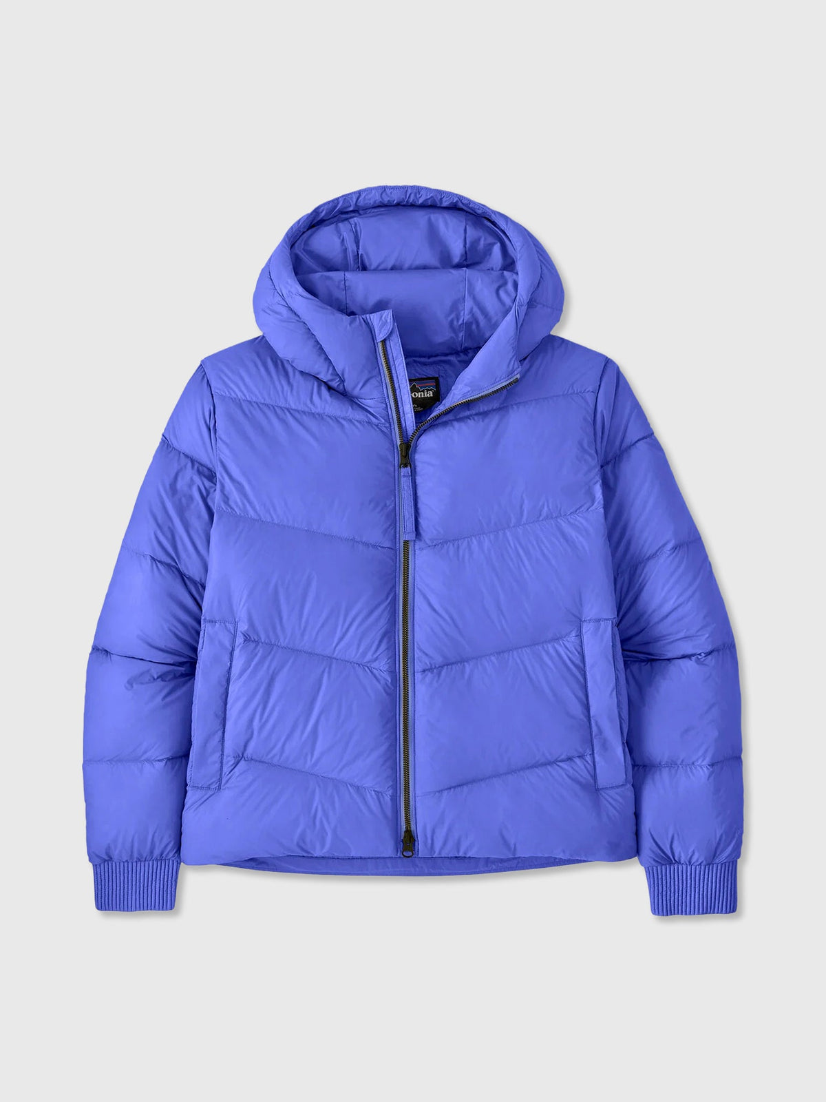 Patagonia Women's Sindit Hoody Jacket