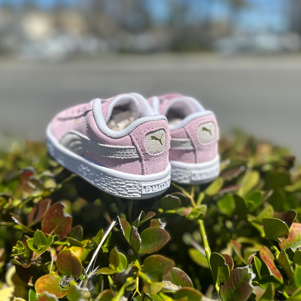 Puma Suede Classic XXI Toddler Shoes