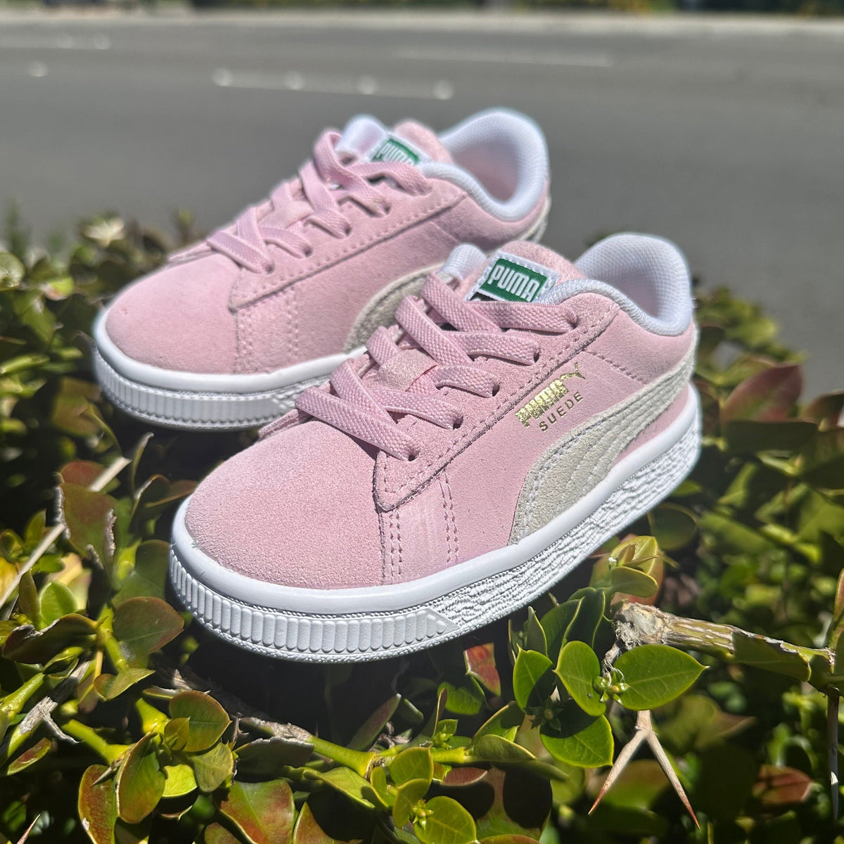 Puma Suede Classic XXI Toddler Shoes