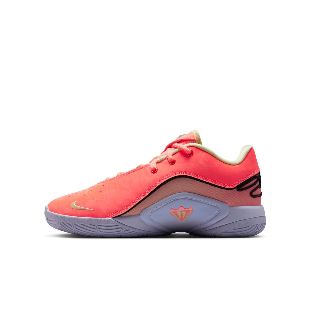 NIKE Lebron Xxii Se (GS) Kids Sneakers