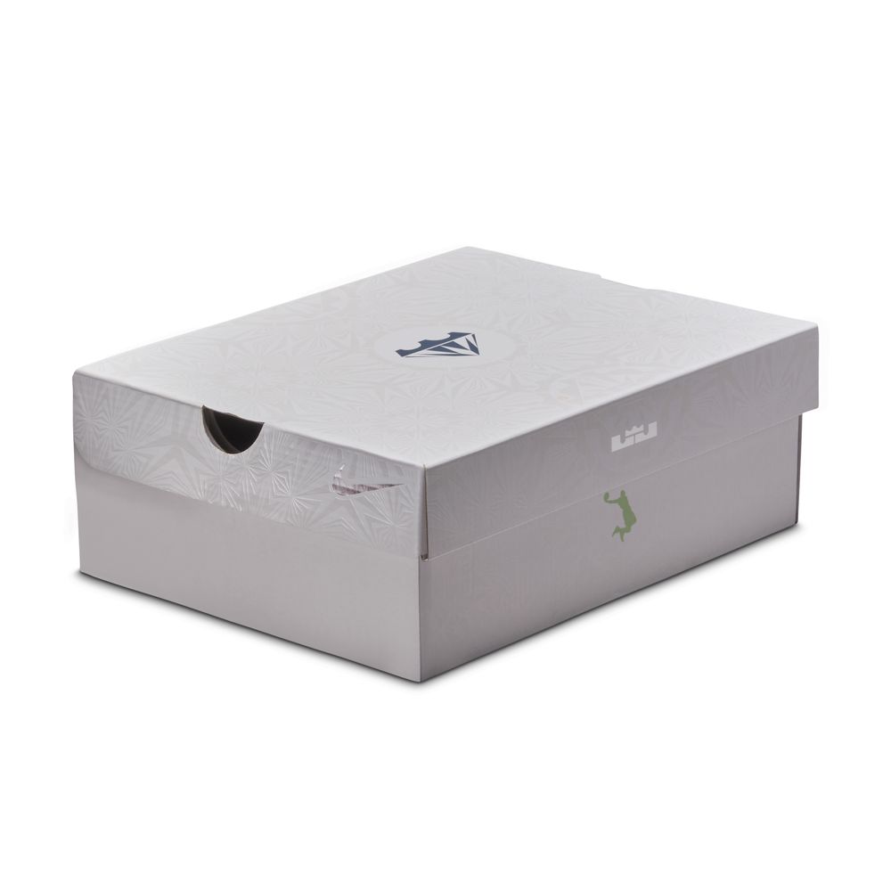 NIKE Lebron Xxii Se (GS) Kids Sneakers