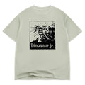 COLOR BARS SUN TEE SAGE