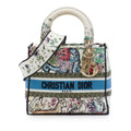Dior Medium Embroidered Canvas D Constellation Lady D Lite Satchel - White