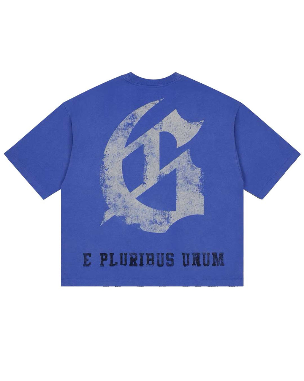 Godspeed Collegiate Tee Royal Wash