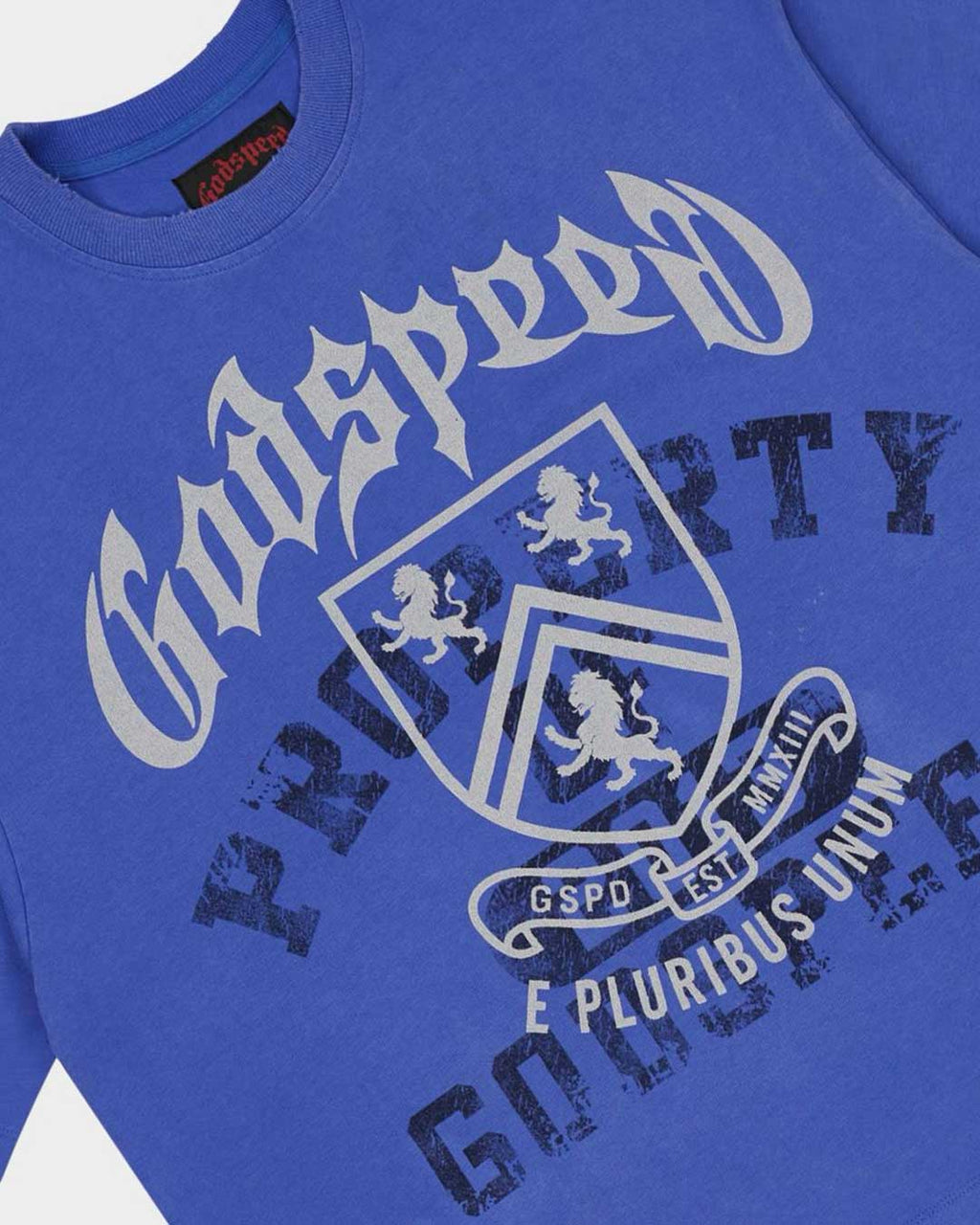 Godspeed Collegiate Tee Royal Wash