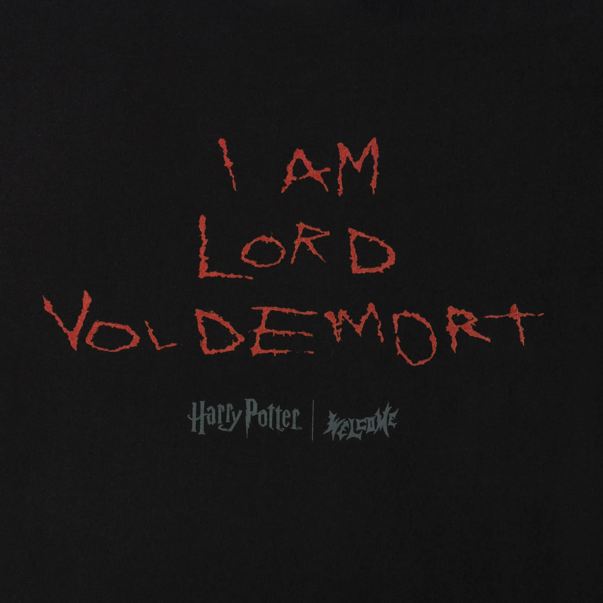 HARRY POTTER X WELCOME Voldemort Boxy Garment Dyed Tee