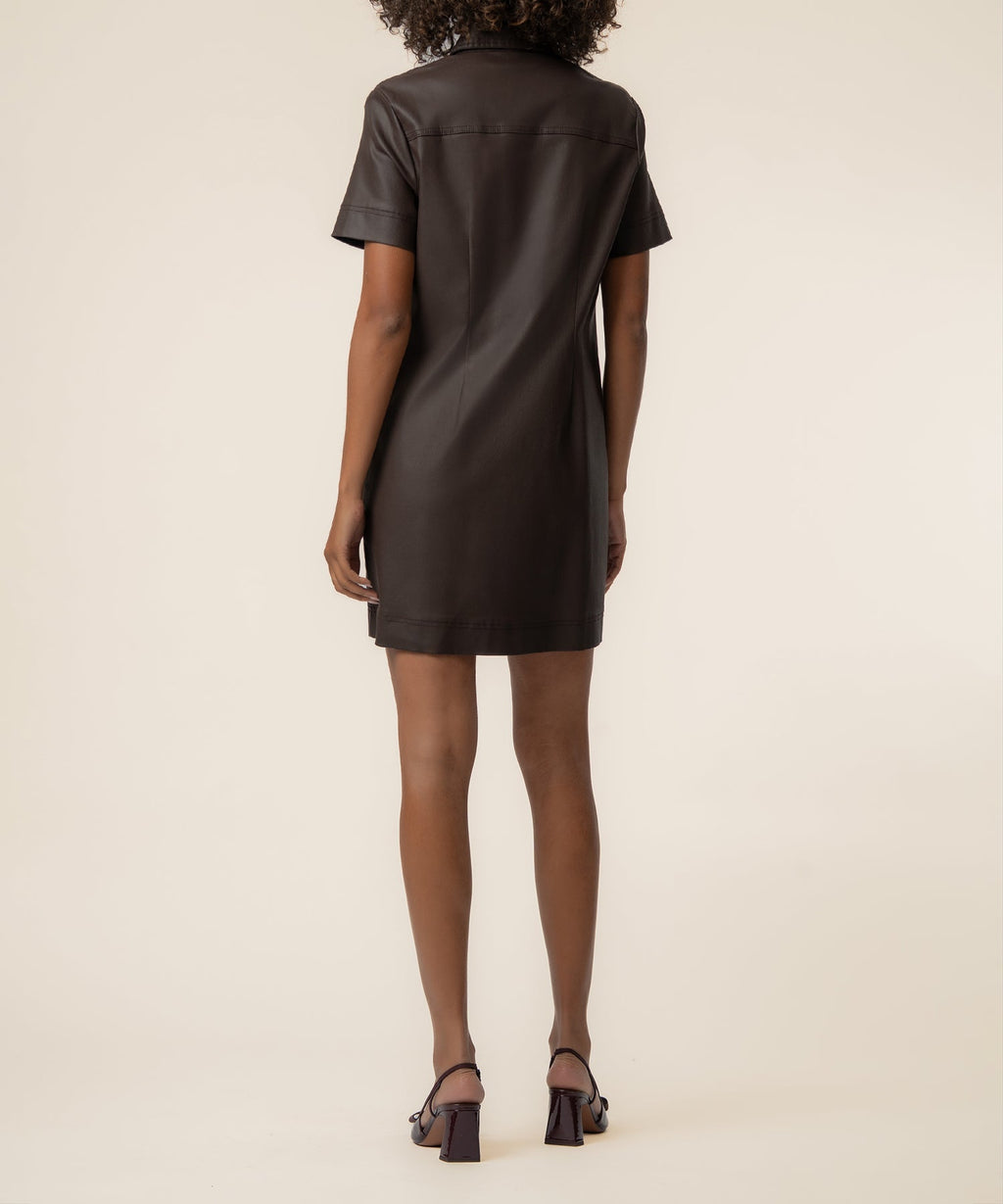 Tatiana Coated Dress in Chocolate