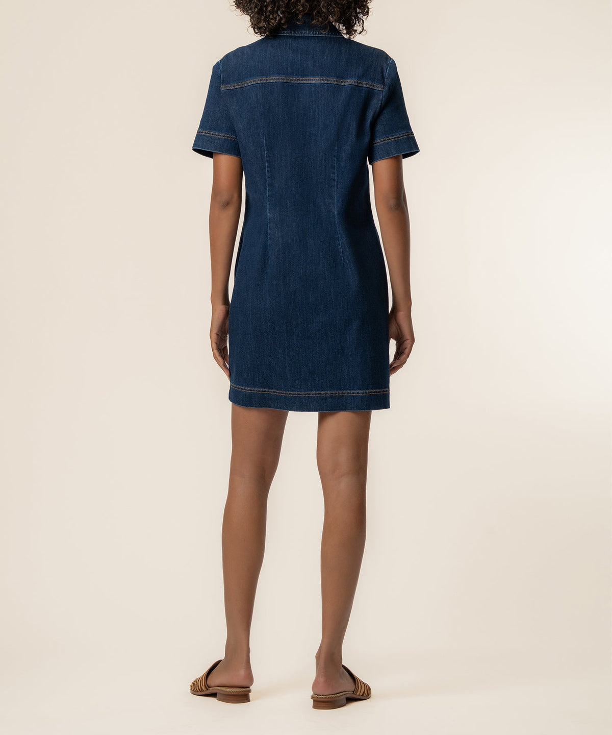 Tatiana Denim Dress in Plan Wash