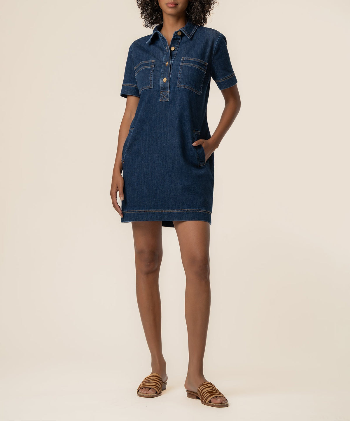 Tatiana Denim Dress in Plan Wash