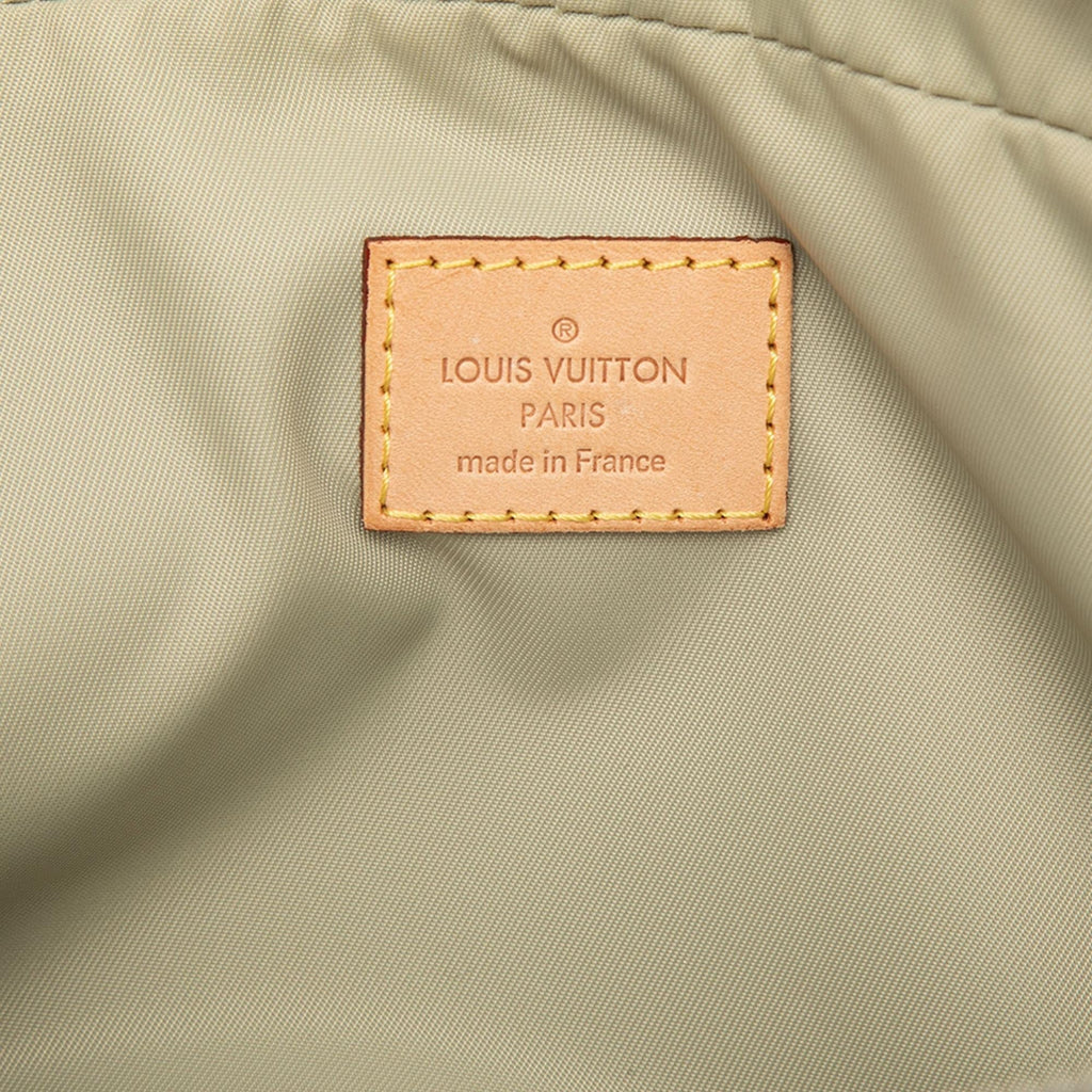 Louis Vuitton Damier Geant Acrobat Belt Bag - Brown