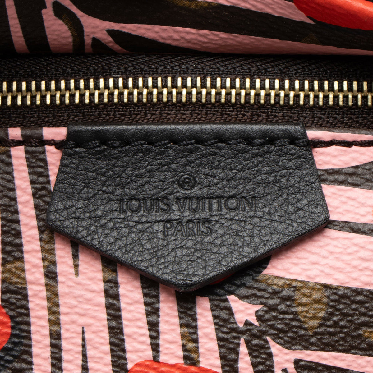 Louis Vuitton Limited Edition Monogram Canvas Jungle Dots Palm Springs PM Backpack - Brown/Pink/Red
