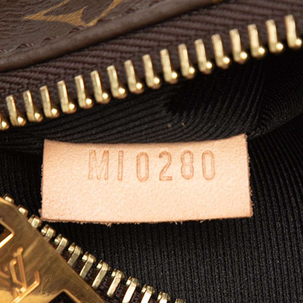Louis Vuitton Monogram Bumbag Belt Bag - Brown