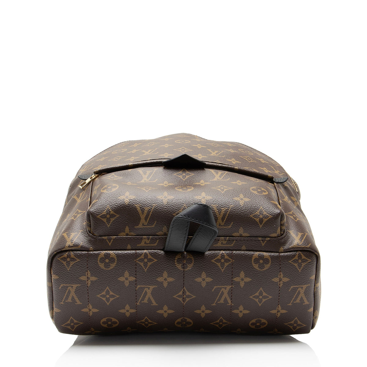 Louis Vuitton Monogram Canvas Palm Springs MM Backpack - Black/Brown