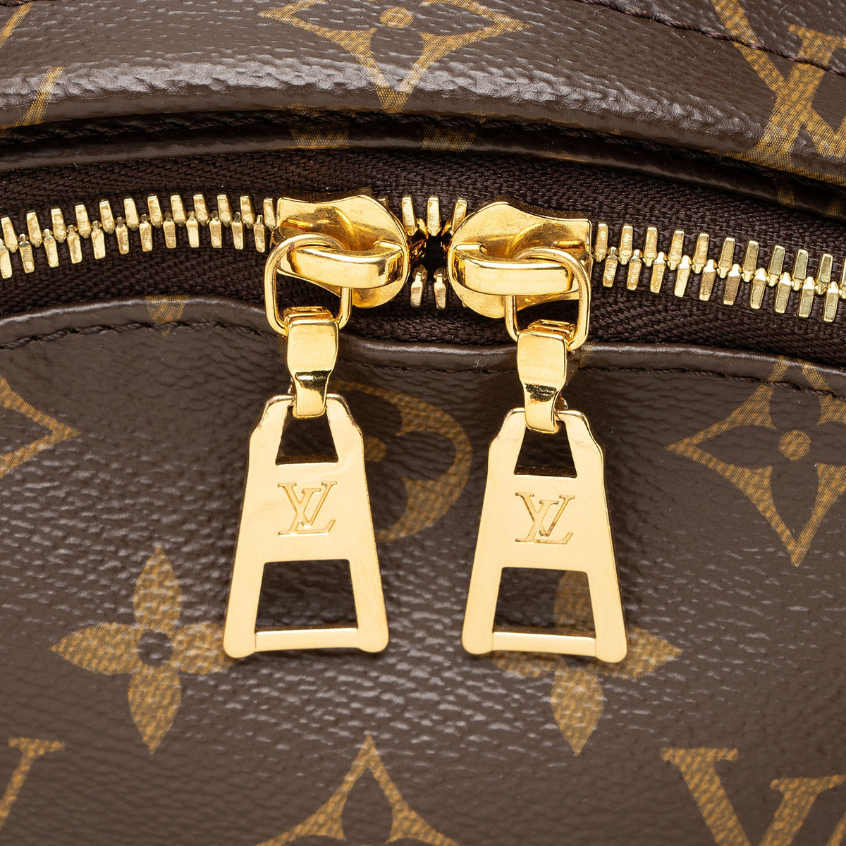 Louis Vuitton Monogram Canvas Palm Springs MM Backpack - Black/Brown