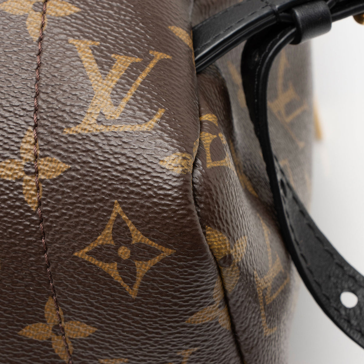 Louis Vuitton Monogram Canvas Palm Springs MM Backpack - Black/Brown
