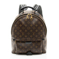 Louis Vuitton Monogram Canvas Palm Springs MM Backpack - Black/Brown