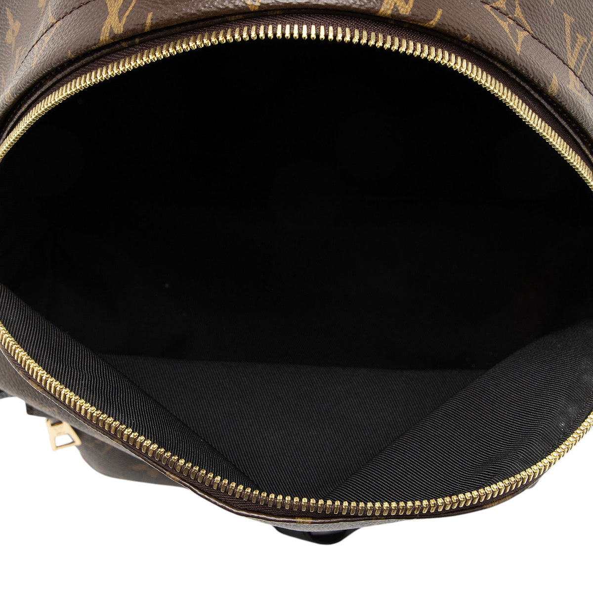 Louis Vuitton Monogram Canvas Palm Springs MM Backpack - Black/Brown