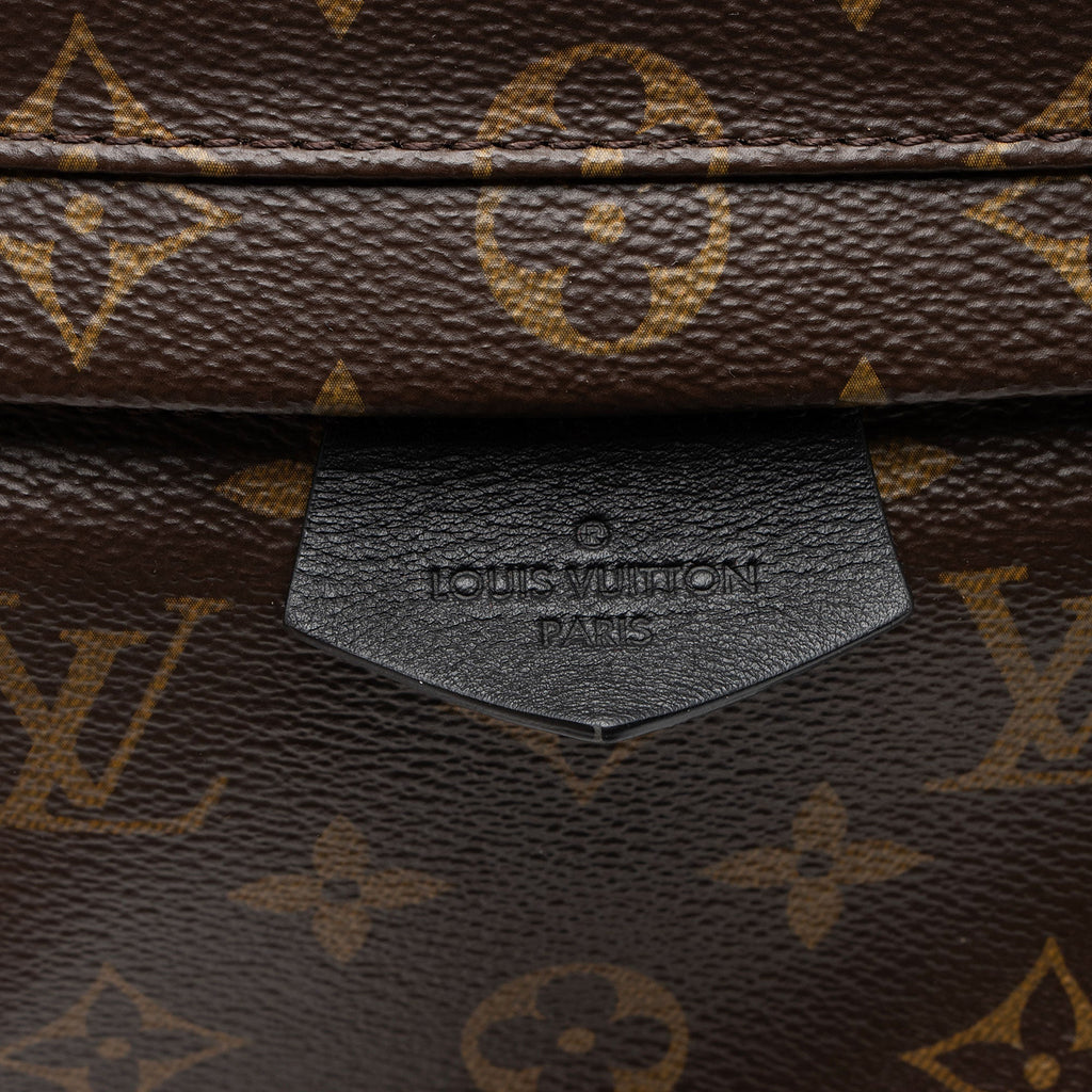 Louis Vuitton Monogram Canvas Palm Springs MM Backpack - Black/Brown