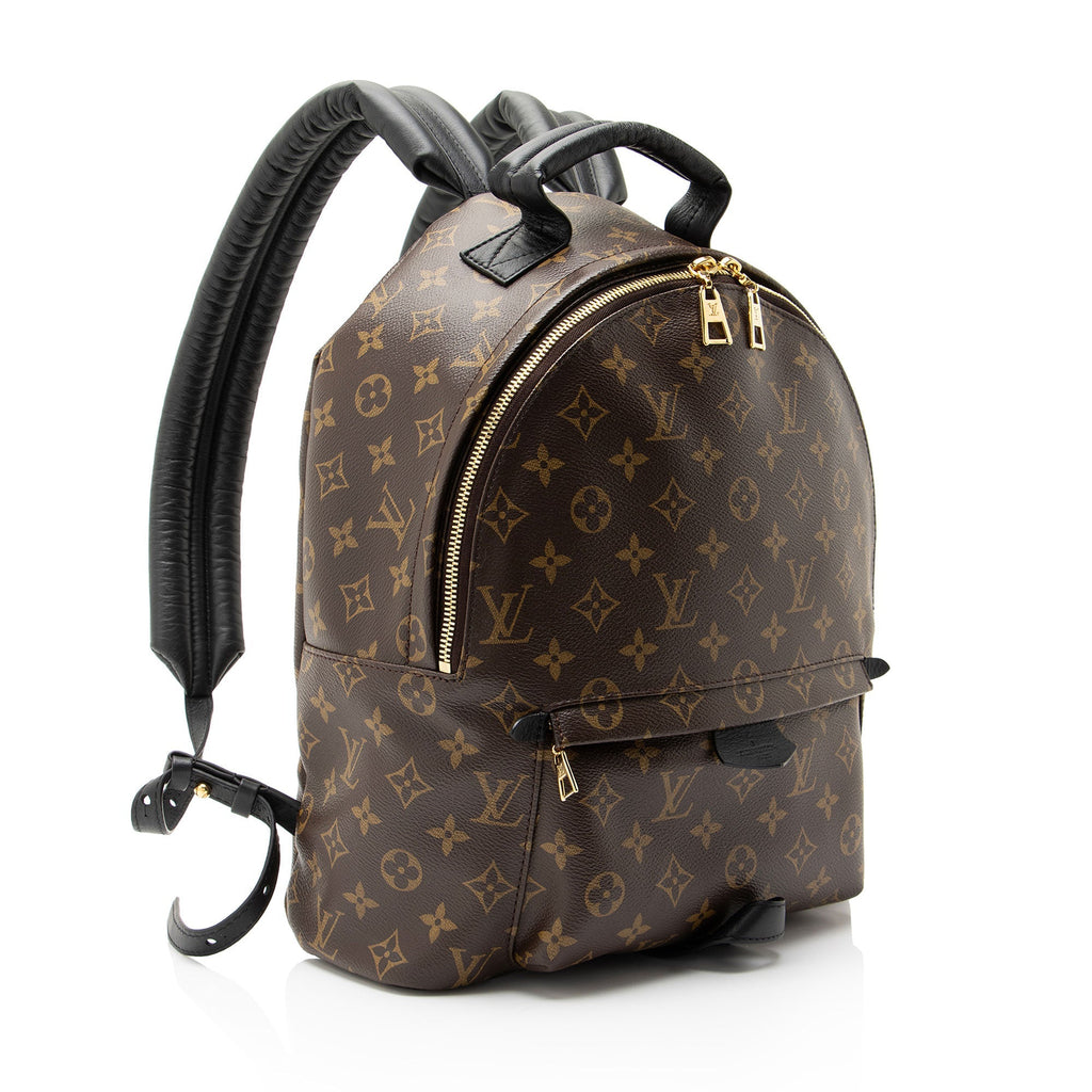 Louis Vuitton Monogram Canvas Palm Springs MM Backpack - Black/Brown