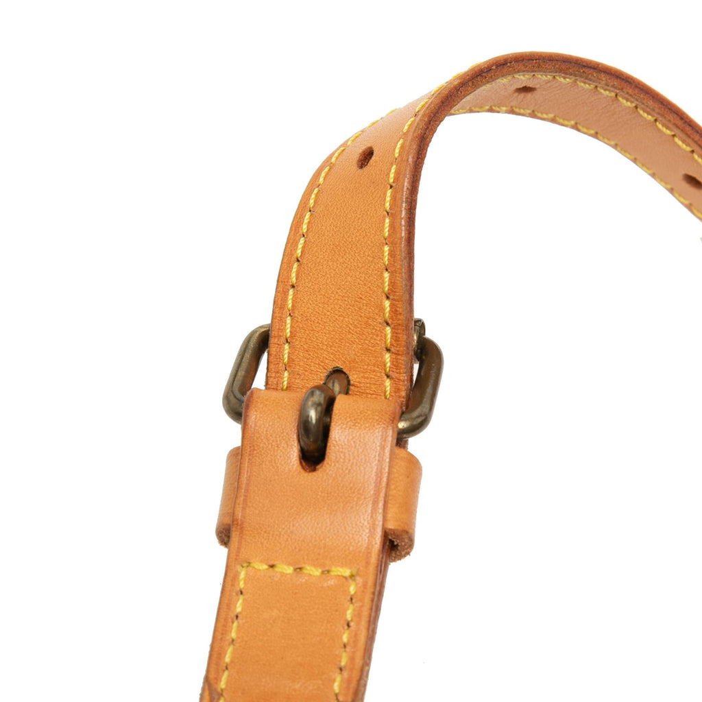 Louis Vuitton Monogram Saumur 30 Crossbody Bag - Brown