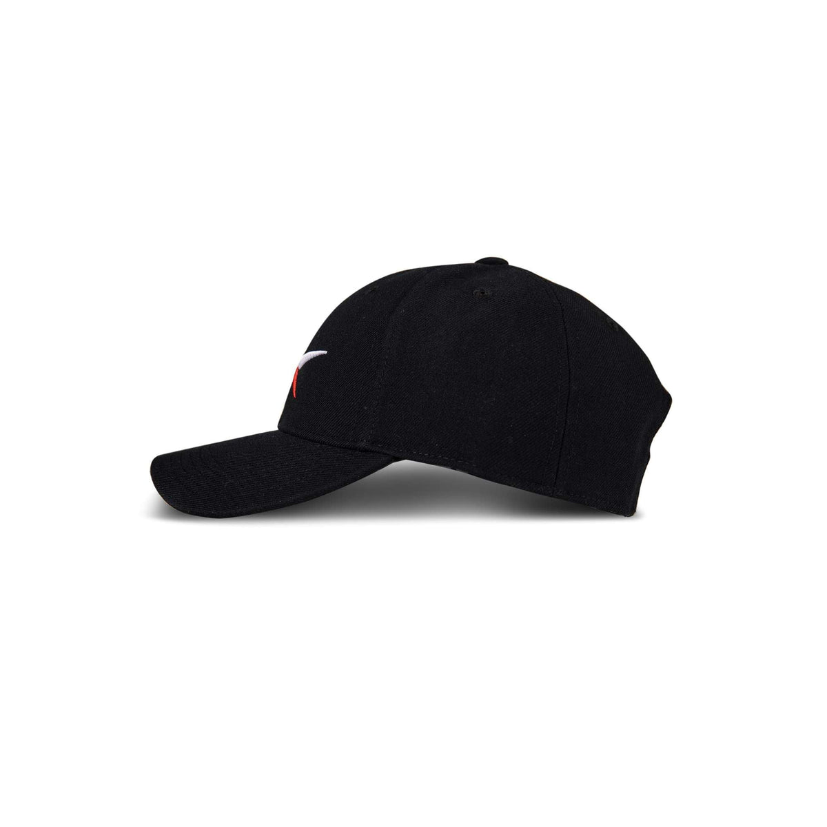 Vector Baseball Cap