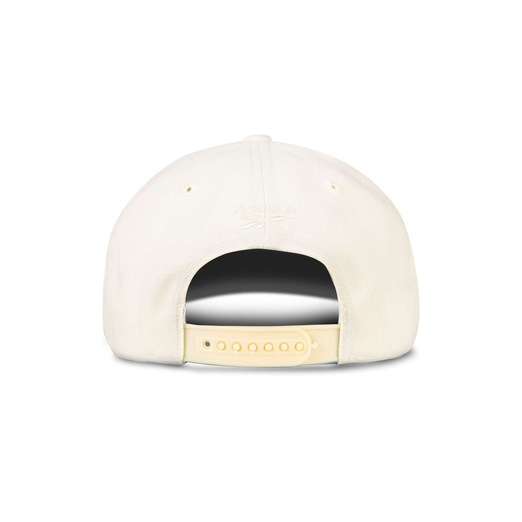 Vector Baseball Cap