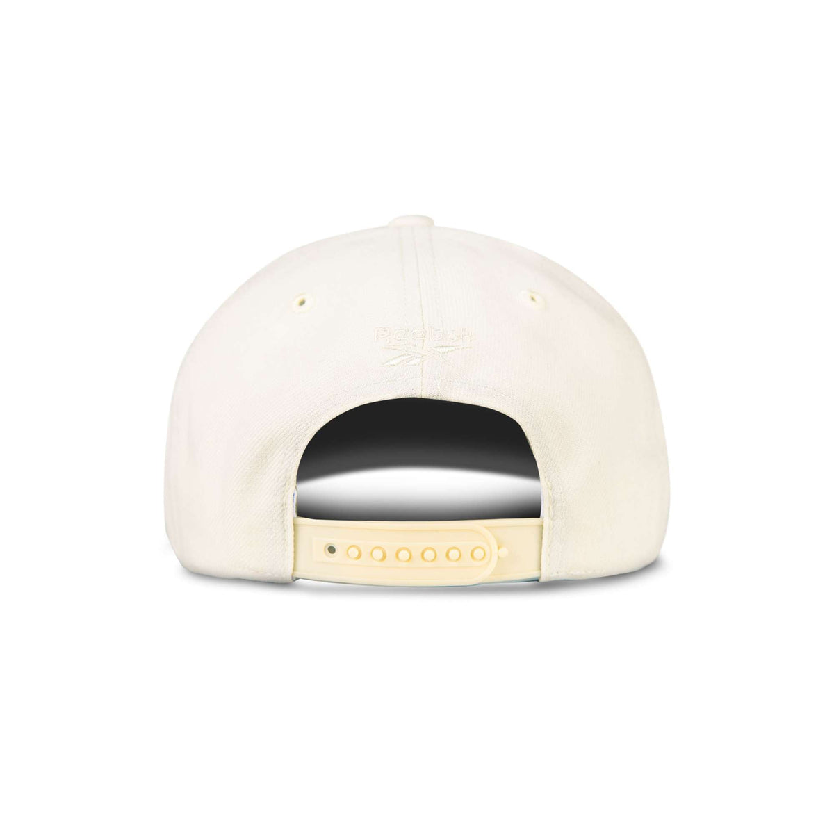 Vector Baseball Cap