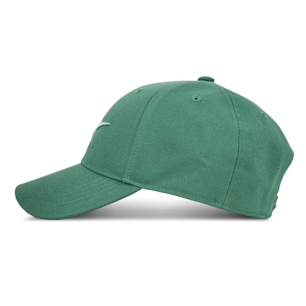Vector Baseball Cap