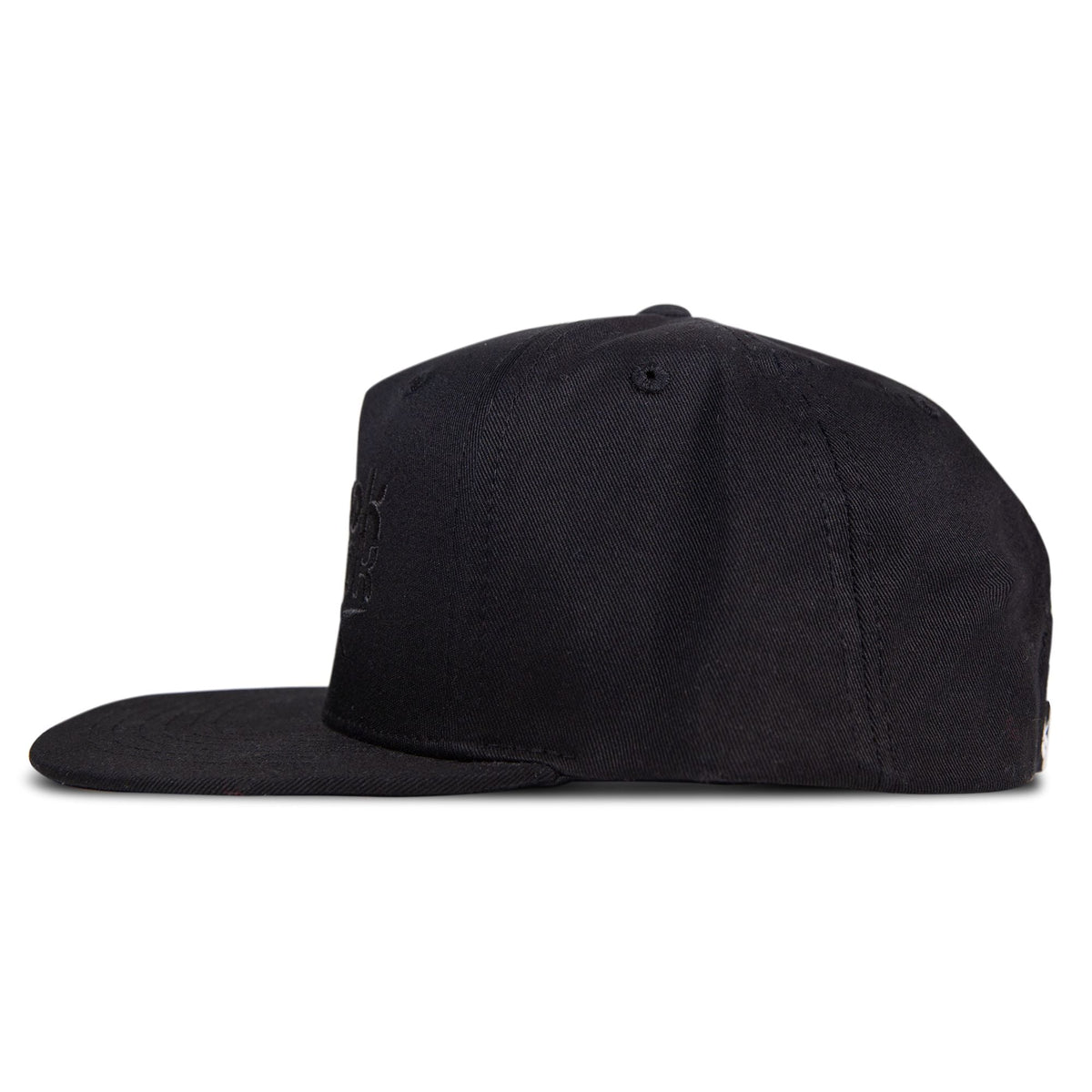 Double Vision Cap