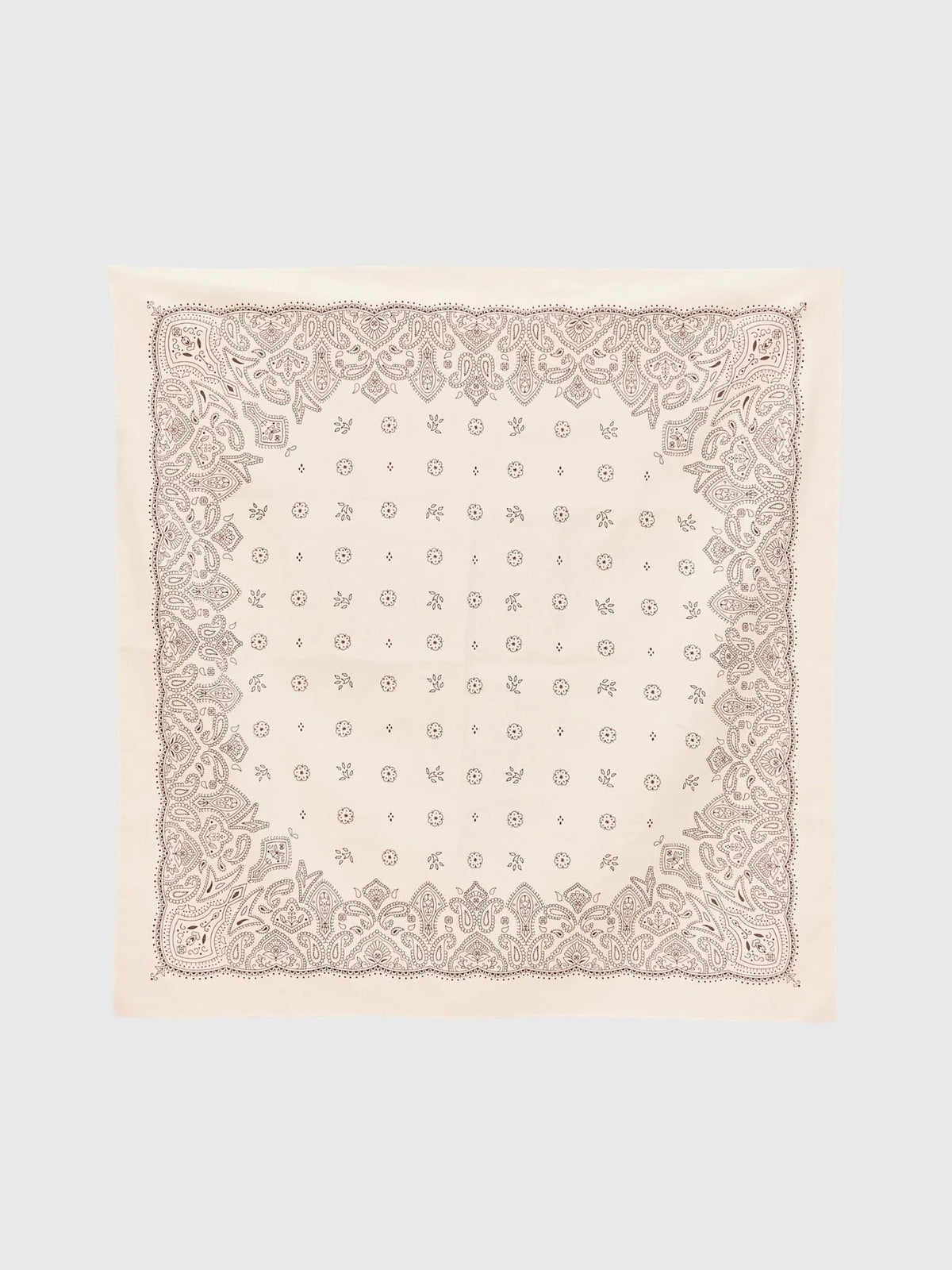 Devon Windsor Women's Scarf