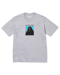 Supreme Sith Tee Grey