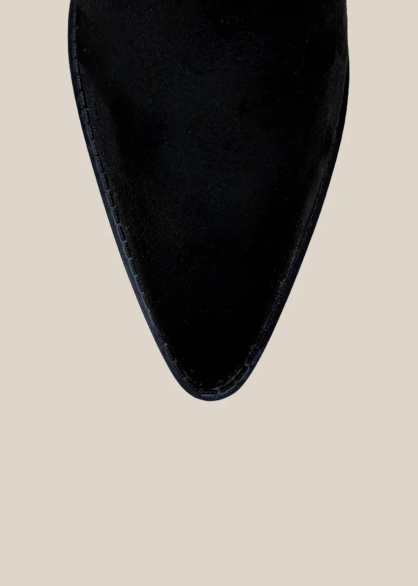 ZONIA